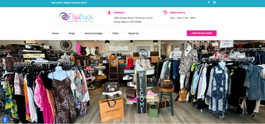 FlipBack Website Screenshot